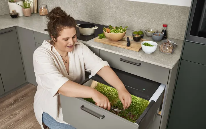 Frau erntet Kresse aus Kräuterschubkasten